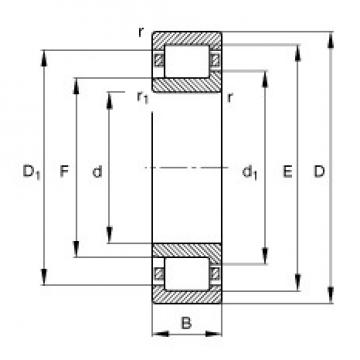 45 mm x 100 mm x 36 mm  FAG NJ2309-E-TVP2 محامل أسطوانية