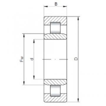 55 mm x 120 mm x 49,2 mm  ISO NU3311 محامل أسطوانية