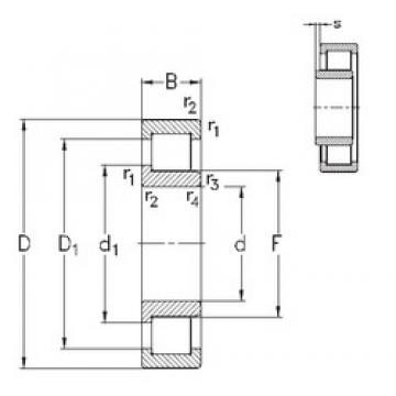 55 mm x 100 mm x 21 mm  NKE NJ211-E-TVP3 محامل أسطوانية