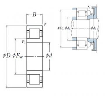 100 mm x 215 mm x 47 mm  NSK NJ 320 محامل أسطوانية