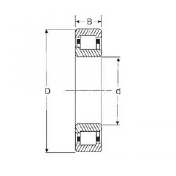 45 mm x 85 mm x 23 mm  SIGMA NJ 2209 محامل أسطوانية