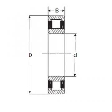 30 mm x 62 mm x 20 mm  SIGMA NU 2206 محامل أسطوانية