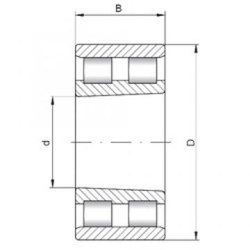 105 mm x 160 mm x 41 mm  ISO NN3021 K محامل أسطوانية