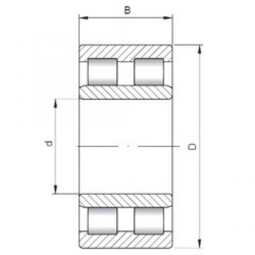 240 mm x 320 mm x 80 mm  ISO NNU4948 محامل أسطوانية