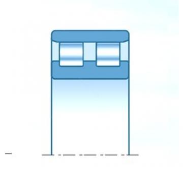 170 mm x 230 mm x 45 mm  NTN NN3934C1NAP4 محامل أسطوانية