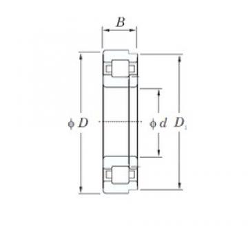 30 mm x 72 mm x 19 mm  KOYO NUP306 محامل أسطوانية