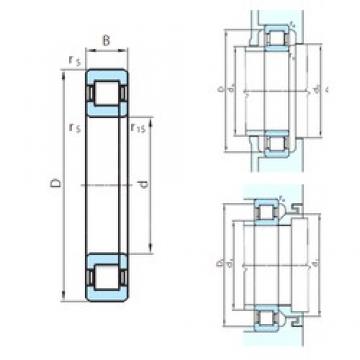 1180 mm x 1540 mm x 206 mm  PSL NUP29/1180 محامل أسطوانية