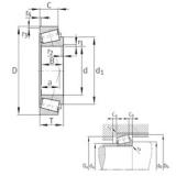 63,5 mm x 112,712 mm x 30,048 mm  FAG K3982-3920 تناقص الأسطوانة المحامل