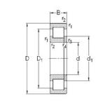 75 mm x 130 mm x 31 mm  NKE NUP2215-E-TVP3 محامل أسطوانية