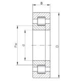 320 mm x 480 mm x 121 mm  ISO NUP3064 محامل أسطوانية