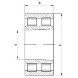 440 mm x 600 mm x 160 mm  ISO NNU4988K V محامل أسطوانية