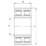 240 mm x 320 mm x 80 mm  ISO NNU4948 محامل أسطوانية