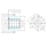 SNFA BSQU 245 TFT فحوى الكرات