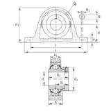 INA RAK1-5/8 تحمل وحدات