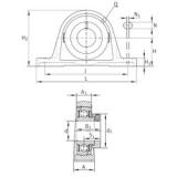 INA PASE1-1/8 تحمل وحدات