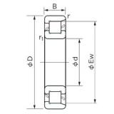 150 mm x 320 mm x 65 mm  NACHI NF 330 محامل أسطوانية