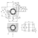 INA KGNS 12 C-PP-AS المحامل الخطية