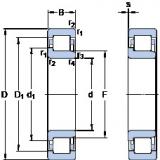 17 mm x 40 mm x 12 mm  SKF NJ 203 ECP فحوى الكرات