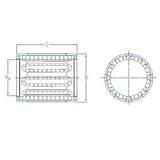 SKF LBBR 50-2LS المحامل الخطية